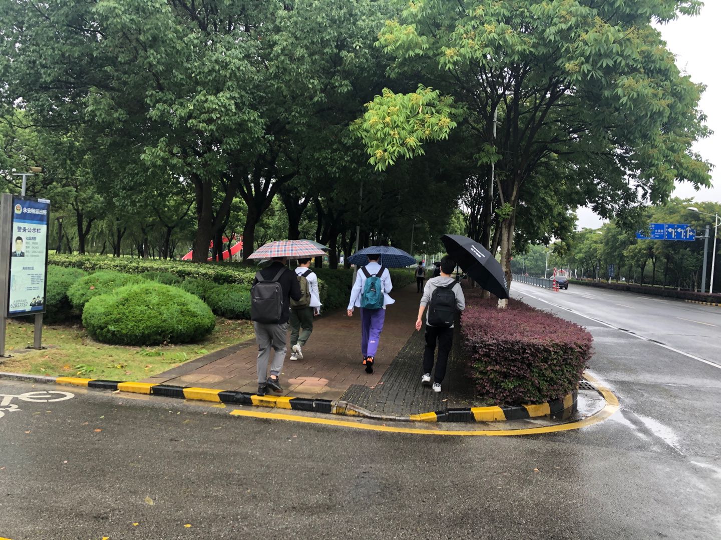 雨中金鸡湖风情别具，记苏州赛为斯徒步励志行